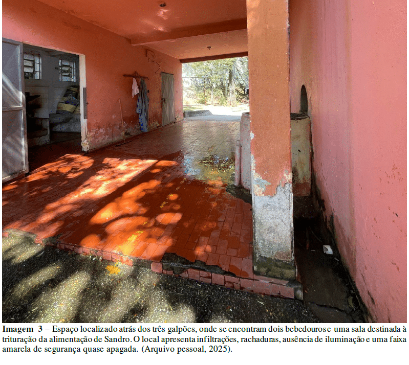 Santuário para Sandro