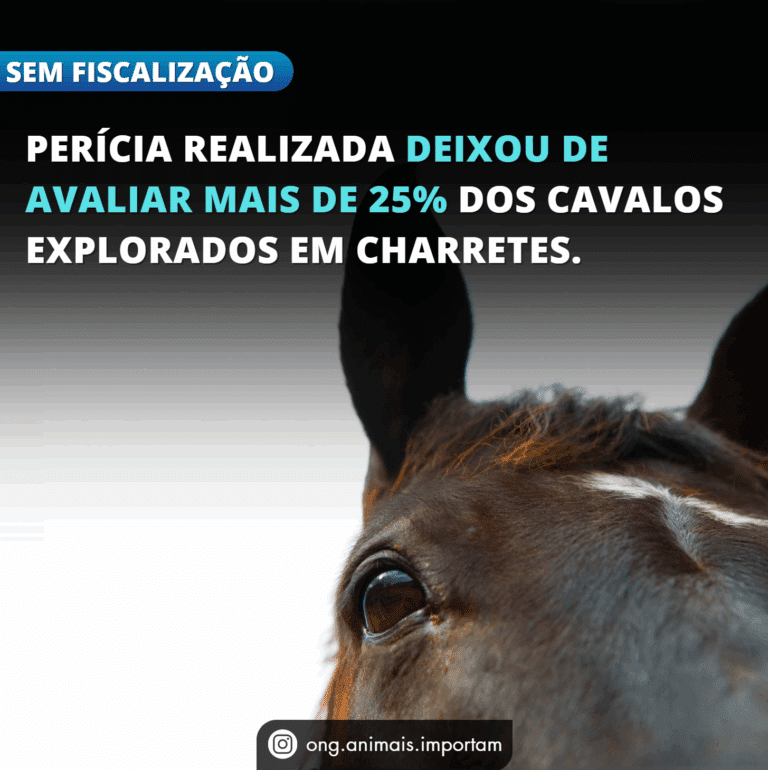 perícia