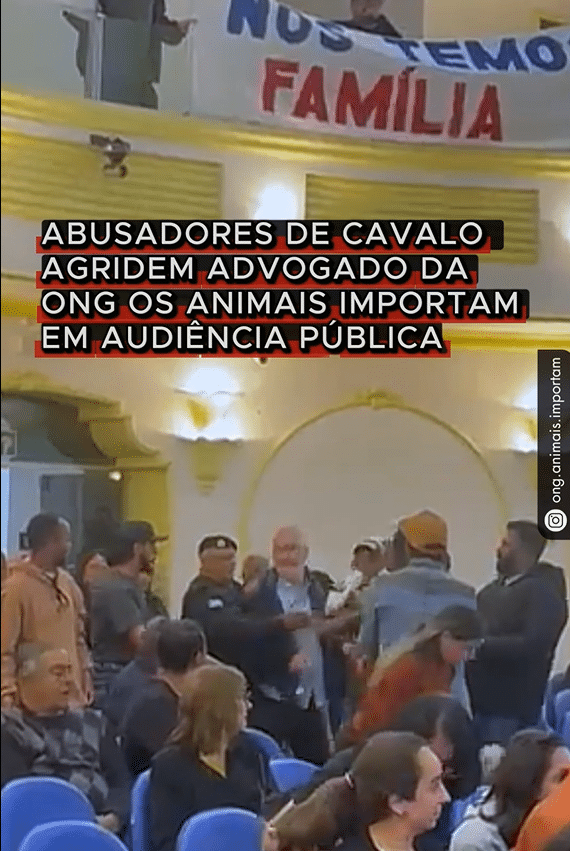 advogado