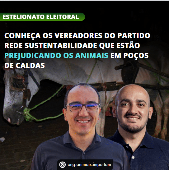 rede sustentabilidade